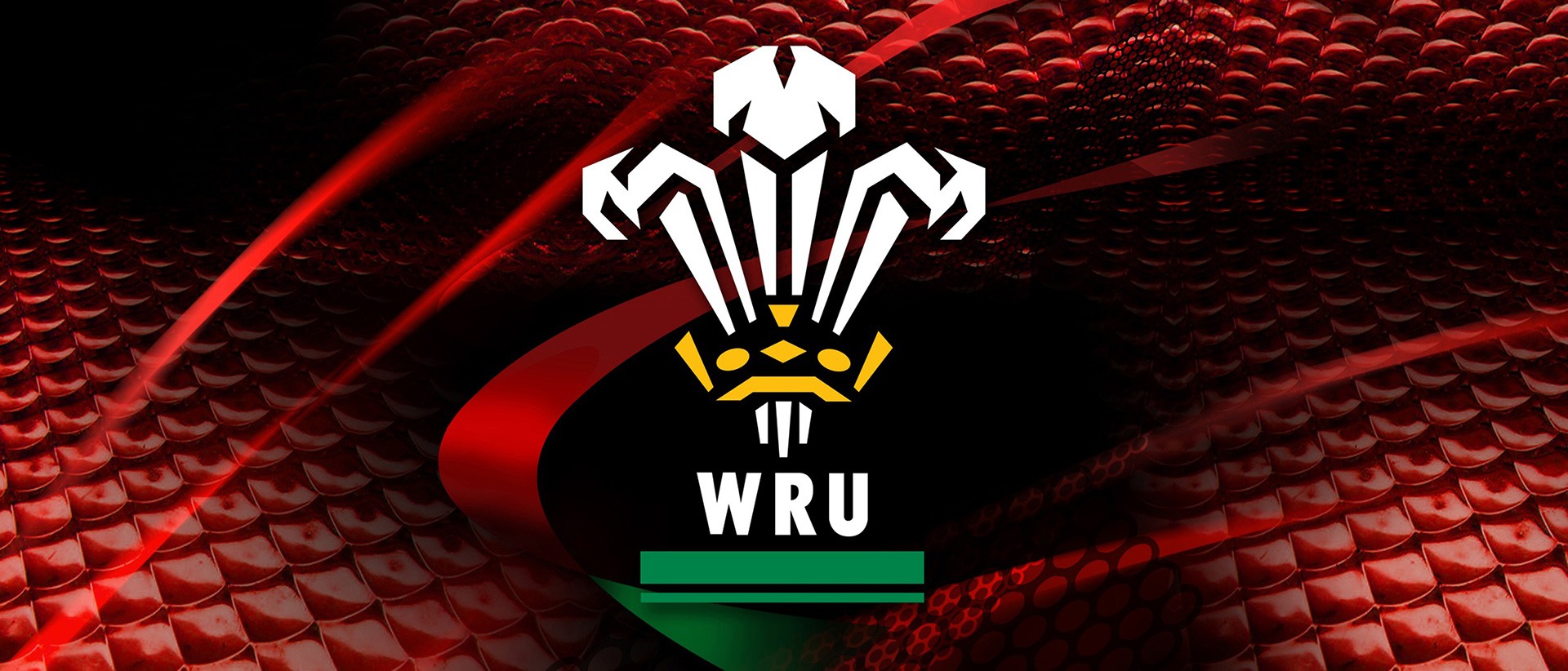welsh rugby union